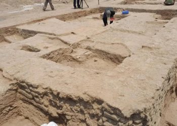 Indus Valley site Rakhi Garhi