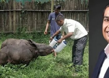 কাজিৰঙা ৰাষ্ট্ৰীয় উদ্যানত বন্যপ্ৰাণী উদ্ধাৰ কেন্দ্ৰ স্থাপনৰ বাবে সাজু মুকেশ আম্বানীৰ সংস্থা