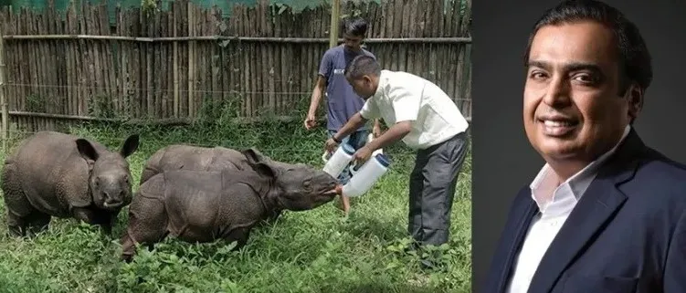 কাজিৰঙা ৰাষ্ট্ৰীয় উদ্যানত বন্যপ্ৰাণী উদ্ধাৰ কেন্দ্ৰ স্থাপনৰ বাবে সাজু মুকেশ আম্বানীৰ সংস্থা
