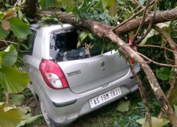 বঙাইগাঁৱৰ ধলাগাঁৱত ধুমুহাত চাৰিচকীয়া বাহনৰ ওপৰত ভাগি পৰিল গছ