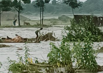 Assam Flood তামুলপুৰৰ নাগ্ৰীজুলিৰ ২ নং ডোঙৰগাঁৱত বৰনদীৰ বুকুত আৱদ্ধ ১৪ টা পৰিয়াল