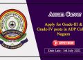 JOB VACANCY: এডিপি কলেজ, নগাঁৱত গ্ৰেড-৩ আৰু গ্ৰেড-৪ পদ খালী, কিদৰে কৰিব আবেদন?