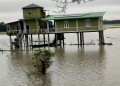 Flood in Assam: বানৰ কবলত কাজিৰঙা ৰাষ্ট্ৰীয় উদ্যান; চাৰিটা বন্যপ্ৰাণীৰ মৃত্যু
