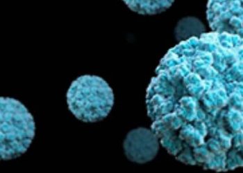 Norovirus: নতুন আতংক নোৰোভাইৰাছ! ভাৰতত ইতিমধ্যে সংক্ৰমিত ২টি শিশু; সতৰ্ক হোৱাৰ আহ্বান