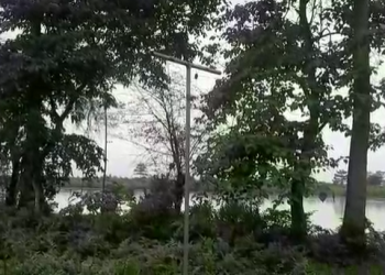 বন বিভাগৰ ২৮ লাখ টকীয়া আঁচনি ধোঁৱাচাঙত; কাম এৰি পলাল ঠিকাদাৰ!