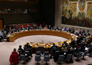 Pakistan and India in UN