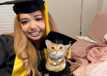 Graduate Cat