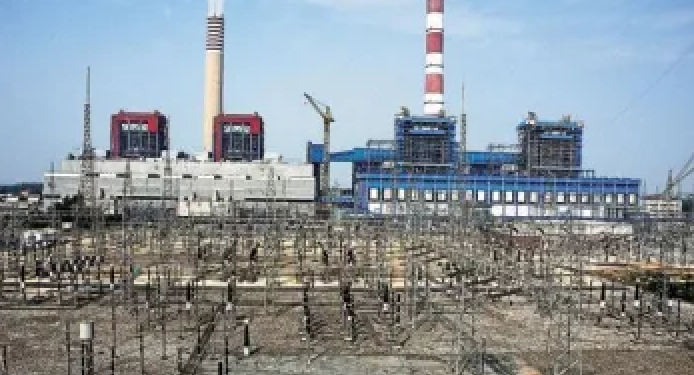 NTCP plant