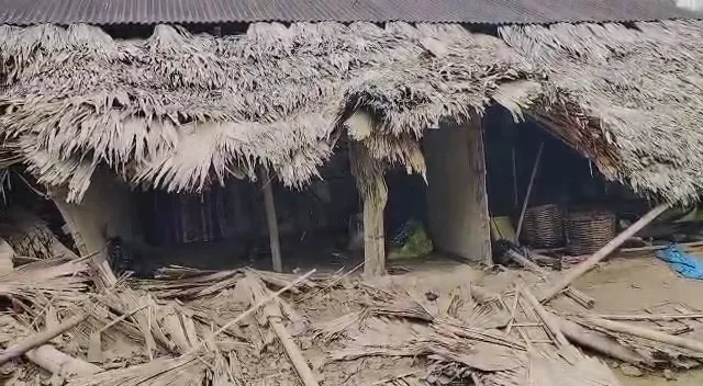 মাৰ্ঘেৰিটাৰ মাকুম পথাৰত বন্যহস্তীয়ে লণ্ডভণ্ড কৰিলে বাসগৃহ; এজন লোক আহত
