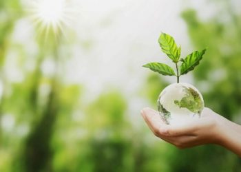 World Environment Day: বিপন্ন পৃথিবী, বিনষ্ট পৰিৱেশ আৰু বিপৰ্যস্ত মানবৰ কৰণীয়