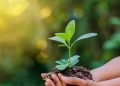 World Environment Day 2022: জলবায়ু পৰিৱৰ্তনৰ উদ্বেগৰ মাজত পৰিৱেশ ৰক্ষাত অৰিহণা যোগোৱা ৭টা উপায়