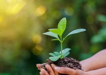 World Environment Day 2022: জলবায়ু পৰিৱৰ্তনৰ উদ্বেগৰ মাজত পৰিৱেশ ৰক্ষাত অৰিহণা যোগোৱা ৭টা উপায়