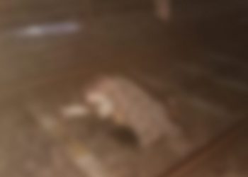 Suicide in Guwahati