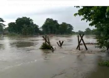 Assam Flood উজনিত বানৰ সংহাৰ, টীয়কৰ জাঁজীমুখ বিপদসীমাৰ ওপৰেৰে বাগৰিছে ব্ৰহ্মপুত্ৰৰ পানী