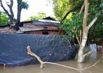 ভাৰত-বাংলাদেশ সীমান্তৰ কাটিগৰাত বানৰ সংহাৰী ৰূপ, পাঁচদিনে নাই চৰকাৰী সাহায্য