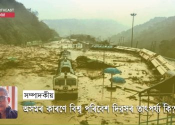 World Environment Day: অসমৰ কাৰণে বিশ্ব পৰিবেশ দিৱসৰ তাৎপৰ্য্য কি?
