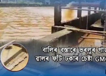 ভয়ংকৰ বিপদৰ আগজাননী! গুৱাহাটীৰ অনিলনগৰত কেইবাটাও স্থানত ফাঁট মেলিছে ভৰলুৰ গাৰ্ড ৱাল