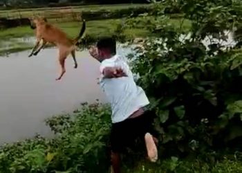 কুকুৰক পানীত দলিয়াই দিয়াৰ ভিডিঅ’ ভাইৰেল,বঙাইগাঁৱত যুৱকক গ্ৰেপ্তাৰ