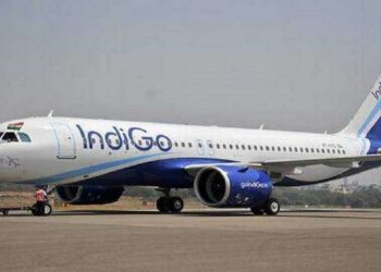 IndiGo flight turns back after bird hit