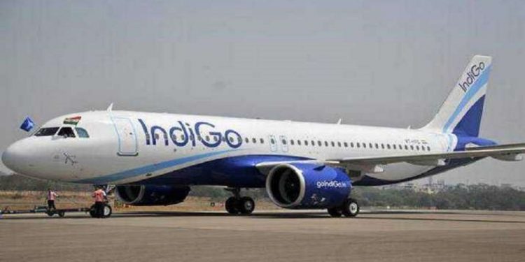 IndiGo flight turns back after bird hit