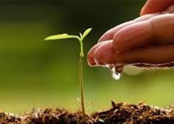 World Environment Day: বিশ্ব পৰিৱেশ দিৱস উপলক্ষে বিশিষ্ট কবি হৰেকৃষ্ণ ডেকাৰ বাৰ্তা
