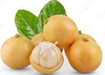 Benifits of Burmese grapes বজাৰত এতিয়া দমে দমে ওলাইছে লেতেকু; লেতেকুৰ উপকাৰিতা জানি আচৰিত হ’ব আপুনি!