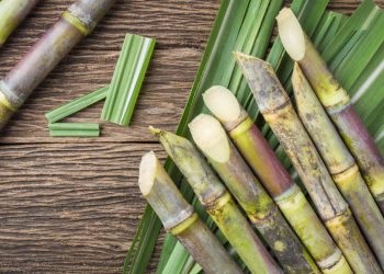 Benifits of sugarcane: কুঁহিয়াৰ ৰস গৰমৰ দিনত খাই বৰ ভাল লাগে নহয় জানো? জানো আহক তাৰ উপকাৰীতাৰ বিষয়ে