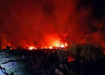 Cargo aircraft crash in Greece: গ্ৰীচত দুৰ্ঘটনাত বিধ্বস্ত বিমান: কাৰ্গো বিমানখনে বাংলাদেশলৈ কঢ়িয়াই আনিছিল অস্ত্ৰ-শস্ত্ৰ