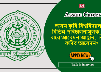 Assam career
