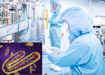 Marburg Virus: এইবাৰ মাৰবাৰ্গ ভাইৰাছৰ আতংক! প্ৰতি ১০ জনৰ ভিতৰত ৮জনৰ মৃত্যুৰ আশংকা