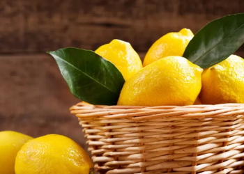 Benifits of Lemon: গৰমৰ দিনত নেমুৰ চৰবত এগিলাচৰ সকলোৰেই প্রিয়; পিছে নেমুটেঙাৰ উপকাৰিতাৰ বিষয়ে জানেনে?