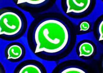 WhatsApp আহিছে নতুন ফিচাৰঃ হোৱাটছএপ অনলাইন হৈ থাকিলেও আনে নাপাব গম