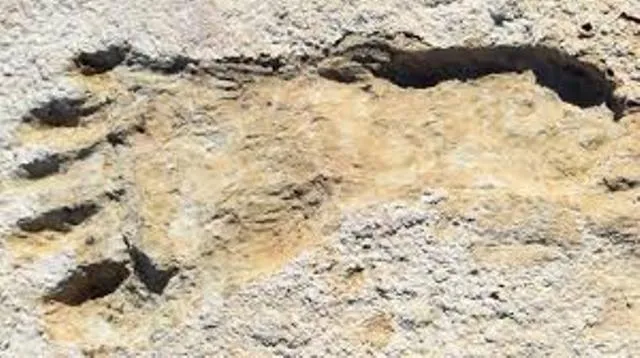 Ice Age human footprints উটাহৰ মৰুভূমিত আৱিষ্কাৰ হিম যুগৰ মানৱৰ পদচিহ্ন, বিষ্মিত বিজ্ঞানী
