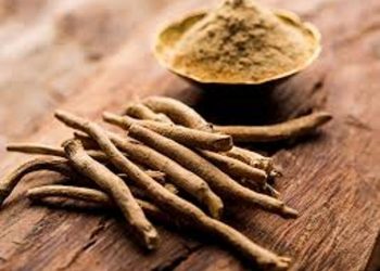 Ashwagandha অশ্বগন্ধাত আছে বহু ঔষধি গুণ জানেনে আপোনালোকে?