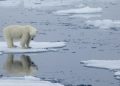 Arctic warming বিজ্ঞানীৰ ঘোষণাত ভয়াৱহ দিনৰ ইংগিতঃ পৃথিৱীৰ অইন ঠাইতকৈ চাৰিগুণে বৃদ্ধি পাইছে মেৰুৰ উষ্ণতা!
