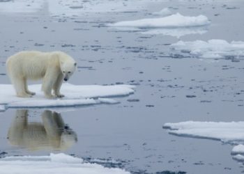 Arctic warming বিজ্ঞানীৰ ঘোষণাত ভয়াৱহ দিনৰ ইংগিতঃ পৃথিৱীৰ অইন ঠাইতকৈ চাৰিগুণে বৃদ্ধি পাইছে মেৰুৰ উষ্ণতা!