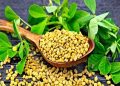 benefits of fenugreek