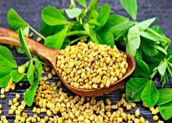 benefits of fenugreek