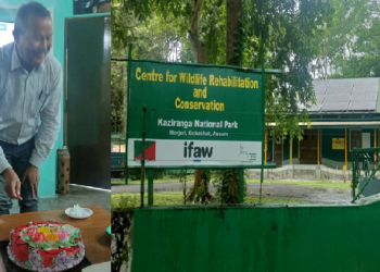 কাজিৰঙাৰ ৰাষ্ট্ৰীয় উদ্যানৰ বৰজুৰিত থকা বন্যপ্ৰাণী পুনৰ সংস্থাপন আৰু সংৰক্ষণ কেন্দ্ৰৰ প্ৰতিষ্ঠা দিৱস উদযাপন