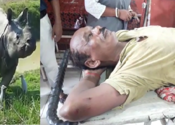 কাজিৰঙাত গঁড়ৰ আক্ৰমণত গুৰুতৰভাৱে আহত গৃহৰক্ষী বাহিনীৰ জোৱান