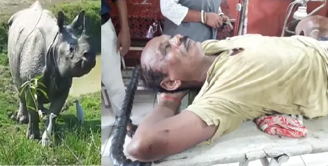 কাজিৰঙাত গঁড়ৰ আক্ৰমণত গুৰুতৰভাৱে আহত গৃহৰক্ষী বাহিনীৰ জোৱান
