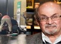 Salman Rushdie
