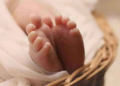 17 fetuses found in garbaged dump