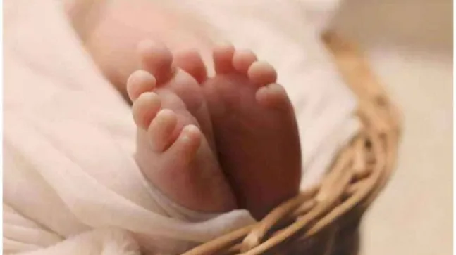17 fetuses found in garbaged dump