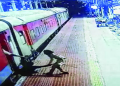 Female RPF constable stabbed