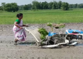 স্বাৱলম্বিতাৰ আদৰ্শ! মূৰত ৰ’দ লৈ ট্ৰেক্টৰ চলাই নিজেই হাল বাই পথাৰত কৃষি কাৰ্যত ব্যস্ত মহিলা