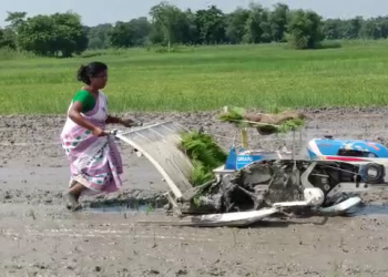 স্বাৱলম্বিতাৰ আদৰ্শ! মূৰত ৰ’দ লৈ ট্ৰেক্টৰ চলাই নিজেই হাল বাই পথাৰত কৃষি কাৰ্যত ব্যস্ত মহিলা