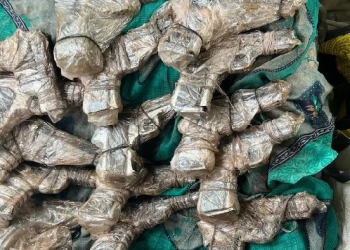weapon smuggling module bust