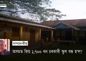 government schools in Assam