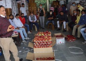 সস্তা দামত আপেল ক্ৰয় কৰি চৰা দামত বিক্ৰী কৰিছে মোডীৰ বন্ধু আদানীয়ে; কাৰ অভিযোগ?